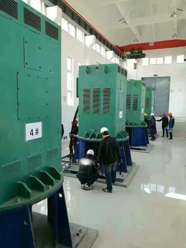 YR5002-4某污水处理厂使用我厂的立式高压电机安装现场