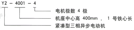 YR系列(H355-1000)高压YR5002-4三相异步电机西安西玛电机型号说明